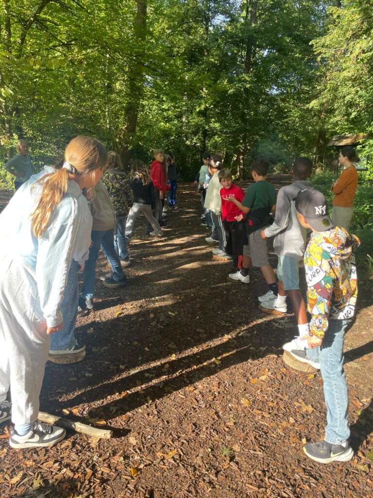 Waldtag der sechsten Klassen der MPS
